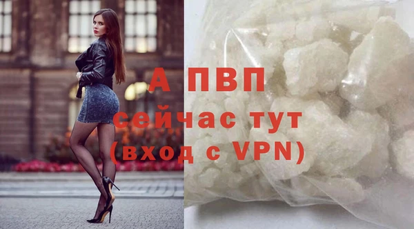 спиды Богородск
