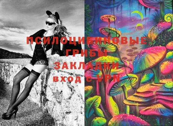 амф Богородицк