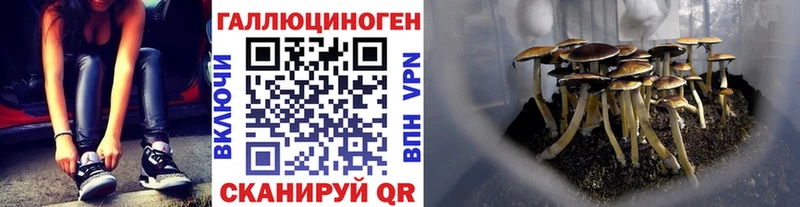 наркота Йошкар-Ола Галлюциногенные грибы мицелий